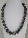 Tahiti Pearls 12-14 mm Dark Color amd High Luster |  The South Sea Pearl |  The South Sea Pearl