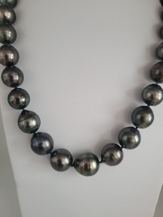 Tahiti Pearls 12-14 mm Dark Color amd High Luster |  The South Sea Pearl |  The South Sea Pearl